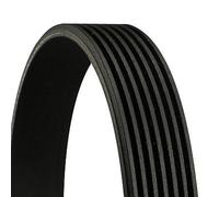 Multi-ribbed V-belt 7PK1647 CONTINENTAL CTAM for BMW 7 6 Convertible 6 Coupe X5