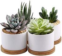 7WUNDERBAR Succulent Ceramic Flower Pots Set of 4 8cm Mini Flower Pots with Bamboo Coasters Round White (Plant Not Included)