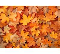7x5FT (2.1x1.5m) Soft Orange Maple Leaf Ground Photography Backdrop