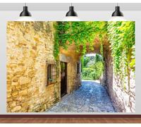 7x5FT (2.1x1.5m) Sunlit Ivy Stone Village Alley Photography Backdrop