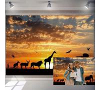 7x5ft African Safari Backdrop Lion Elephant Giraffe Tropical Jungle Animals Theme Photography Background Orange Sunset Wild Animals Silhouette Room Interior Decoration Banner Adults Photoshoot Prop