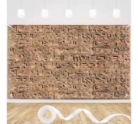 7x5FT Ancient Egyptian Hieroglyphs Backdrop History Course Civilization Mural Travel Photography Background Vintage Stone Carving Archaeology Art Photo Party Decor Props Polyester