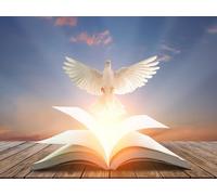 7x5ft Peace Dove and Open Book Backdrop - White Bird Flying at Sunset Sky Background for Bible Study, Religious Events, Christian Photography, Church Decor, Spiritual Theme Banner