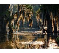 7x5ft Swamp Landscape Water Jungle Trees Woodland Forest Rainforest Backdrop Party Photography Studio Background