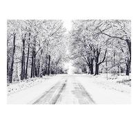 7x5ft Winter Backdrop Winter Forests Snow Scenery Photography Background Christmas Natural Snowy Landscape Photography Background Studio Portrait Photo Booth Prop