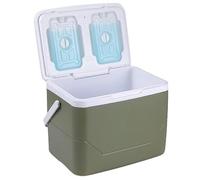 8/18/33 L Triple-Layered PP Air Tight Drybox Cooler and Small Hard Shell Lunchbox with Handle, Small Insulated Cooler for Camping(Green,18L)