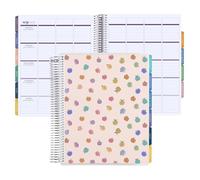 8.5x11 Coiled Teacher Lesson Planner (January 2026 - December 2026) - Apple Dapple classic cover, horizontal layout, Hexagon theme, platinum coil