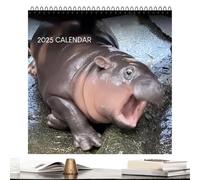 8.5x8.5x0.2 Inches Moo-Deng Calendar, 2025 Moo-Deng Pygmy Hippo Hangable Monthly Wall Calendar For Animal Lover, Moo-Deng Fan Hippo Wall Calendar, Personalized And Creative Cute Hippopotamus Calendar