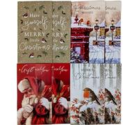 8 Christmas Money Envelopes - Festive Robin Designs - Gift Card & Cash Holders - Xmas Voucher Envelopes - Traditional Christmas Robin Designs - Kids & Adults - 16x9cm