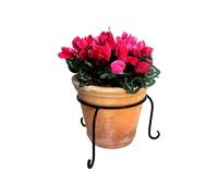 (8" Diameter) Flower Pot Ring - 10" Diameter