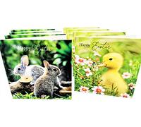 8 Happy Easter Cards with Envelopes - Bunny Rabbit & Duckling - Set of 8 Premium Easter Cards - 12x12cm - UK Designed