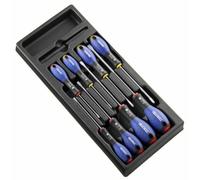 Expert by Facom 8 Piece Screwdriver Set in Module Tray