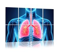 8 Pack Acoustic Foam Panels Sound Proofing 3D Lungs medical Acoustic Wall Panel Soundproofing for Livingroom Nursery Room 120x80cm Home Decor