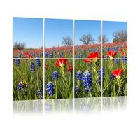 8 Pack Acoustic Foam Panels Sound Proofing Bluebonnets Indian Paintbrush wildflowers color Texas Hill Acoustic Wall Panel Soundproofing for Livingroom Nursery Room 120x80cm Home Decor