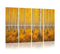 8 Pack Acoustic Foam Panels Sound Proofing Panels Autumn aspen tree forest Rocky Mountains CO Acoustic Wall Panel Soundproofing for Livingroom Nursery Room 48"x32" Home Decor