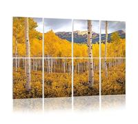 8 Pack Acoustic Foam Panels Sound Proofing Panels Autumn aspen tree forest Rocky Mountains CO Acoustic Wall Panel Soundproofing for Livingroom Nursery Room 48"x32" Home Decor