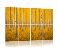 8 Pack Acoustic Foam Panels Sound Proofing Panels Autumn aspen tree forest Rocky Mountains CO Acoustic Wall Panel Soundproofing for Livingroom Nursery Room 48"x32" Home Decor