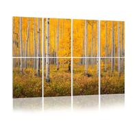 8 Pack Acoustic Foam Panels Sound Proofing Panels Autumn aspen tree forest Rocky Mountains CO Acoustic Wall Panel Soundproofing for Livingroom Nursery Room 48"x32" Home Decor