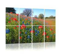 8 Pack Acoustic Foam Panels Sound Proofing Panels Bluebonnets Indian Paintbrush wildflowers color Texas Hill Acoustic Wall Panel Soundproofing for Livingroom Nursery Room 48"x32" Home Decor