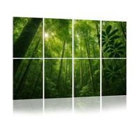 8 Pack Acoustic Foam Panels Sound Proofing Panels Brazilian Rainforest Acoustic Wall Panel Soundproofing for Livingroom Nursery Room 48"x32" Home Decor