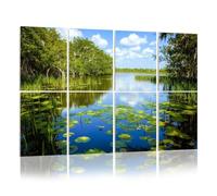 8 Pack Acoustic Foam Panels Sound Proofing Panels Florida wetland Airboat ride Everglades National Park Acoustic Wall Panel Soundproofing for Livingroom Nursery Room 48"x32" Home Decor