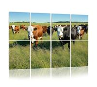 8 Pack Acoustic Foam Panels Sound Proofing Panels hereford cattle grazing pictures royalty photos Acoustic Wall Panel Soundproofing for Livingroom Nursery Room 48"x32" Home Decor