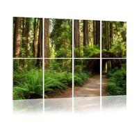 8 Pack Acoustic Foam Panels Sound Proofing Panels Hiking Path Redwood Forest Acoustic Wall Panel Soundproofing for Livingroom Nursery Room 48"x32" Home Decor