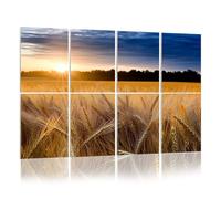 8 Pack Acoustic Foam Panels Sound Proofing Panels Misty sunrise wheat field Kansas Acoustic Wall Panel Soundproofing for Livingroom Nursery Room 48"x32" Home Decor