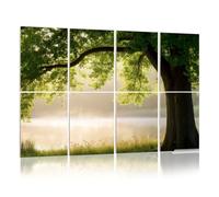 8 Pack Acoustic Foam Panels Sound Proofing Panels Oak Tree Full Leaf Summer Standing Alone Stylized Cat Acoustic Wall Panel Soundproofing for Livingroom Nursery Room 48"x32" Home Decor