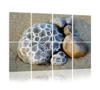 8 Pack Acoustic Foam Panels Sound Proofing Panels petoskey stones great lakes region pictures royalty free Acoustic Wall Panel Soundproofing for Livingroom Nursery Room 48"x32" Home Decor