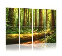 8 Pack Acoustic Foam Panels Sound Proofing Panels redwood national park sequoiass pictures Acoustic Wall Panel Soundproofing for Livingroom Nursery Room 48"x32" Home Decor