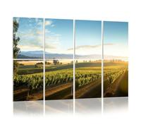 8 Pack Acoustic Foam Panels Sound Proofing Panels Sunrise morning mist scenic vineyard California Acoustic Wall Panel Soundproofing for Livingroom Nursery Room 48"x32" Home Decor