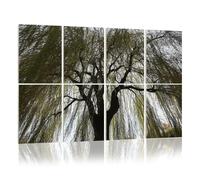 8 Pack Acoustic Foam Panels Sound Proofing Panels weeping willow tree weeping willow pictures royalty Acoustic Wall Panel Soundproofing for Livingroom Nursery Room 48"x32" Home Decor