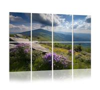 8 Pack Acoustic Panels Sound Proofing Appalachian Trail Roan Mountains Rhododendron Bloom Blue Ridge Acoustic Wall Panel Soundproofing for Livingroom Nursery Room 120x80cm Home Decor