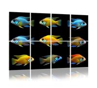 8 Pack Acoustic Panels Sound Proofing Aulonocara african cichlid fish collage Acoustic Wall Panel Soundproofing for Livingroom Nursery Room 120x80cm Home Decor