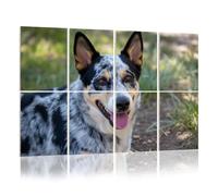 8 Pack Acoustic Panels Sound Proofing Australian Cattle Dog Blue Heeler puppy outdoors Acoustic Wall Panel Soundproofing for Livingroom Nursery Room 120x80cm Home Decor