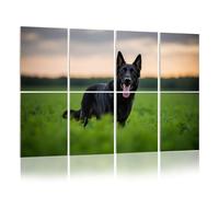 8 Pack Acoustic Panels Sound Proofing german shepherd dog running across field Acoustic Wall Panel Soundproofing for Livingroom Nursery Room 120x80cm Home Decor