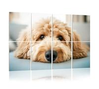 8 Pack Acoustic Panels Sound Proofing Golden Labradoodle dog home sofa Acoustic Wall Panel Soundproofing for Livingroom Nursery Room 120x80cm Home Decor
