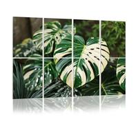 8 Pack Acoustic Panels Sound Proofing Rare Tropical White Variegated Albo Plant Leaf Acoustic Wall Panel Soundproofing for Livingroom Nursery Room 120x80cm Home Decor