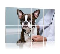 8 Pack Acoustic Panels Sound Proofing Veterinary doctor examing heart dog stethoscope Acoustic Wall Panel Soundproofing for Livingroom Nursery Room 120x80cm Home Decor