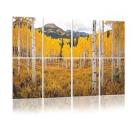 8 Pack Acoustic Wall Panels Sound Absorbing Wall Art acoustic foam Autumn aspen tree forest Rocky Mountains CO 48"x32" Sound Proofing Panels for walls Decorative Noise Dampening