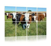 8 Pack Acoustic Wall Panels Sound Absorbing Wall Art acoustic foam hereford cattle grazing pictures royalty photos 48"x32" Sound Proofing Panels for walls Decorative Noise Dampening