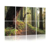 8 Pack Acoustic Wall Panels Sound Absorbing Wall Art acoustic foam Redwood National Park 48"x32" Sound Proofing Panels for walls Decorative Noise Dampening