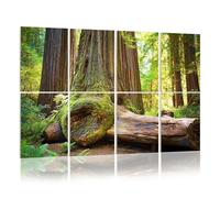 8 Pack Acoustic Wall Panels Sound Absorbing Wall Art acoustic foam redwood national park sequoiass pictures 48"x32" Sound Proofing Panels for walls Decorative Noise Dampening
