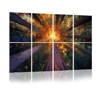 8 Pack Acoustic Wall Panels Sound Absorbing Wall Art acoustic foam redwood trail trees forest sequoiass pictures 48"x32" Sound Proofing Panels for walls Decorative Noise Dampening