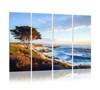 8 Pack Acoustic Wall Panels Sound Absorbing Wall Art acoustic foam Seascape Monterey Bay cypress trees Sunset California 48"x32" Sound Proofing Panels for walls Decorative Noise Dampening