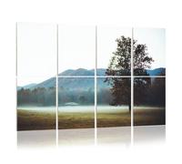 8 Pack Acoustic Wall Panels Sound Absorbing Wall Art acoustic foam Solitary Tree Field Great Smoky Mountains Cades Cove 48"x32" Sound Proofing Panels for walls Decorative Noise Dampening