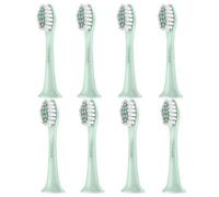 8 Pack TravLand Replacement Brush Heads Compatible with Suri Electric Toothbrush (Winter Fern, M)
