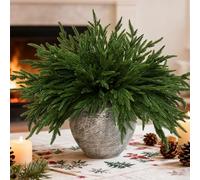 8 PCS 18 Inches Artificial Christmas Norfolk Pine Branch, Natural Touch Norfolk Faux Greenery Pine Stems, Fake Norfolk Picks Christmas Decoratoins for Vase DIY Garland Wreath Xmas Indoor Home Decor