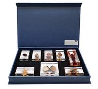 8 PCS Marine Animals Specimens Set Taxidermy Paperweights for Science Education